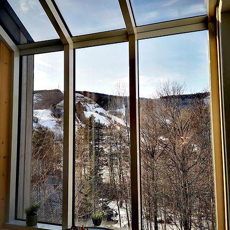 Condo Sur 2 Niveaux Avec Magnifique Vue Sur La Montagne 스톤햄 외부 사진